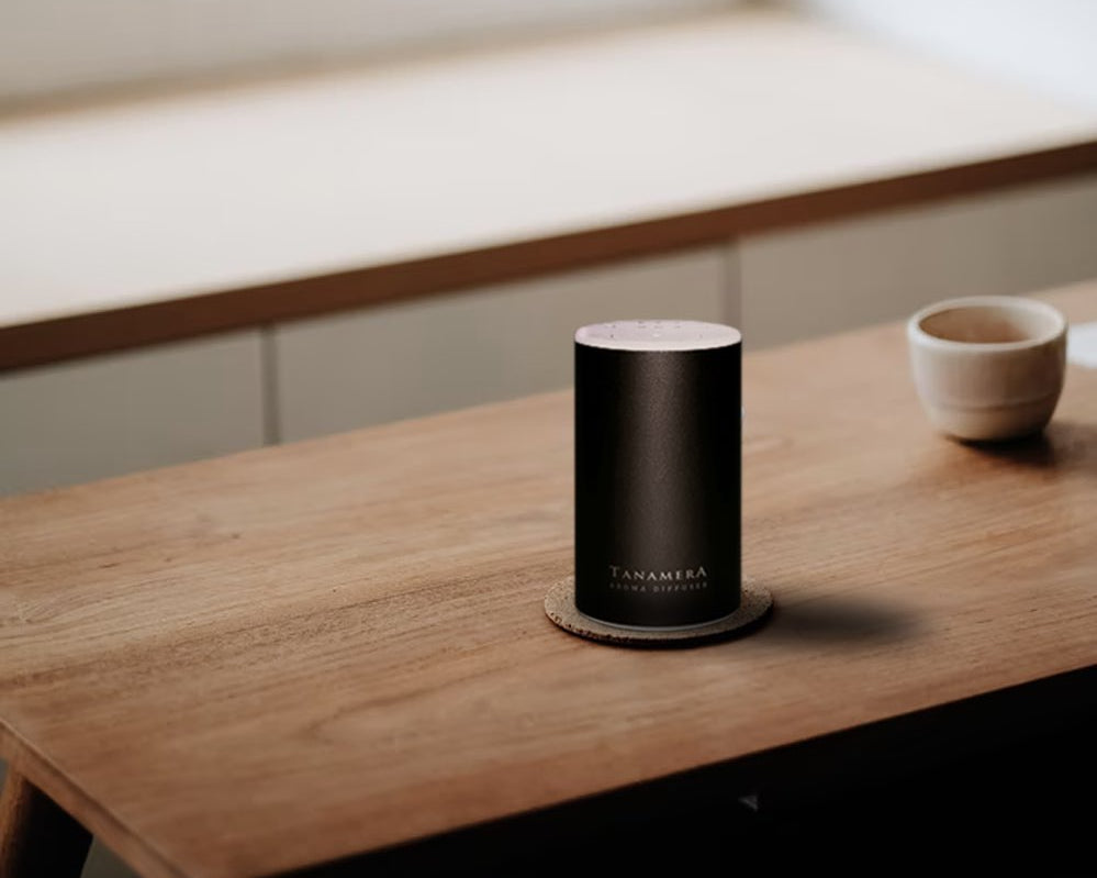 What Is a Waterless Diffuser & How to Choose One
