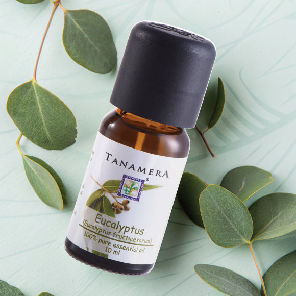 Eucalyptus-EO.jpg