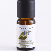 Eucalyptus Essential Oil