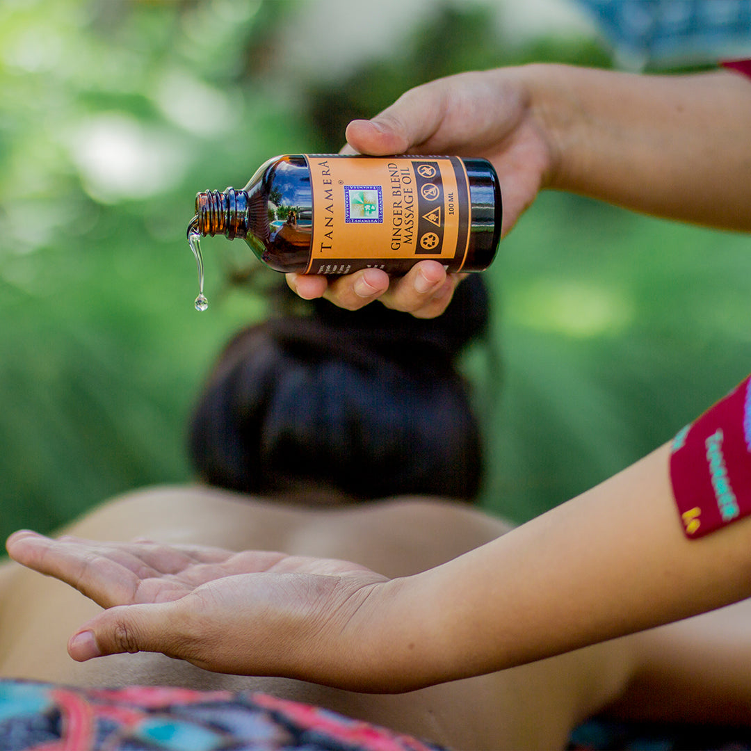 tanamera natural ginger blend massage oil application