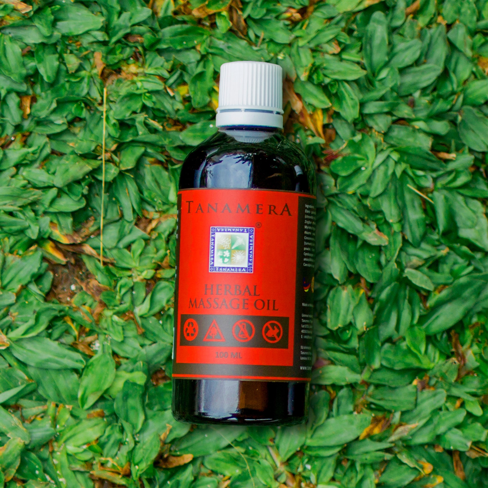 tanamera natural herbal massage oil