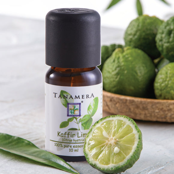 Kaffir-Lime-EO.jpg