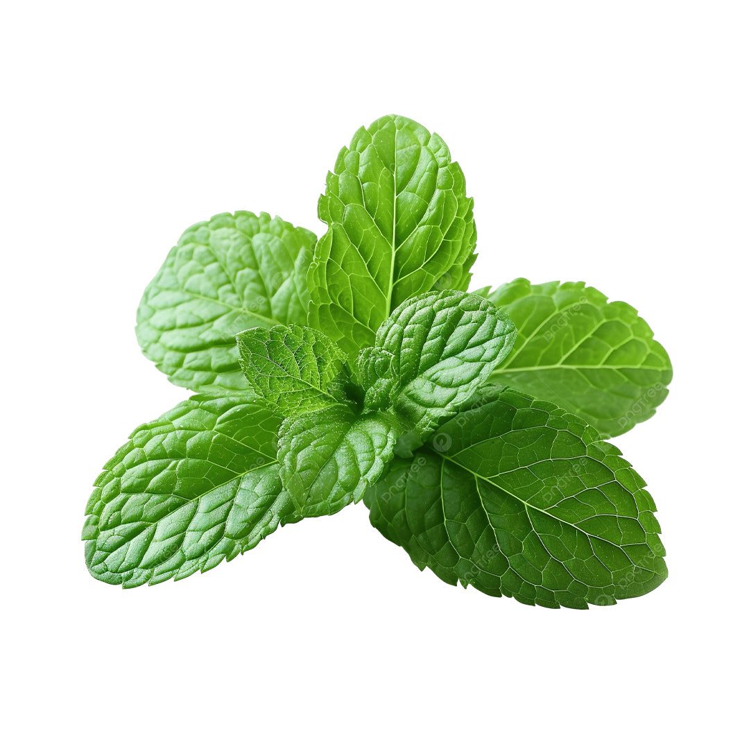 Peppermint.jpg