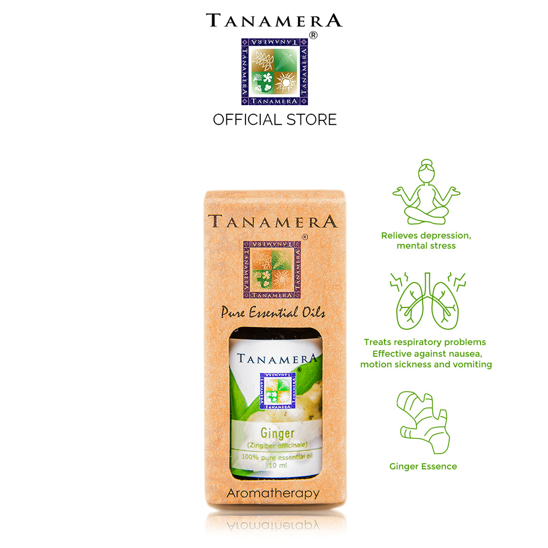 Ginger Essential Oil