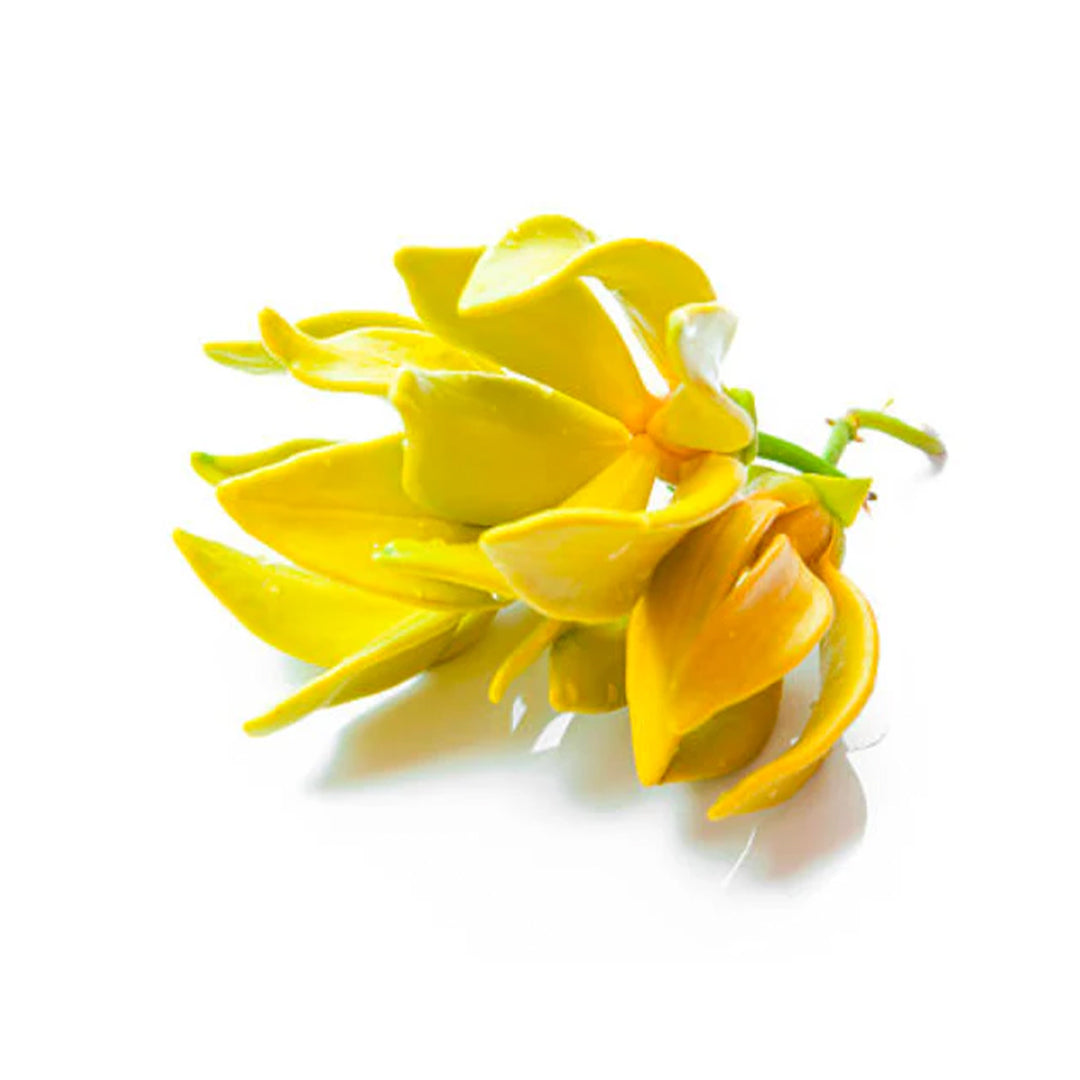 Ylang-Ylang.jpg