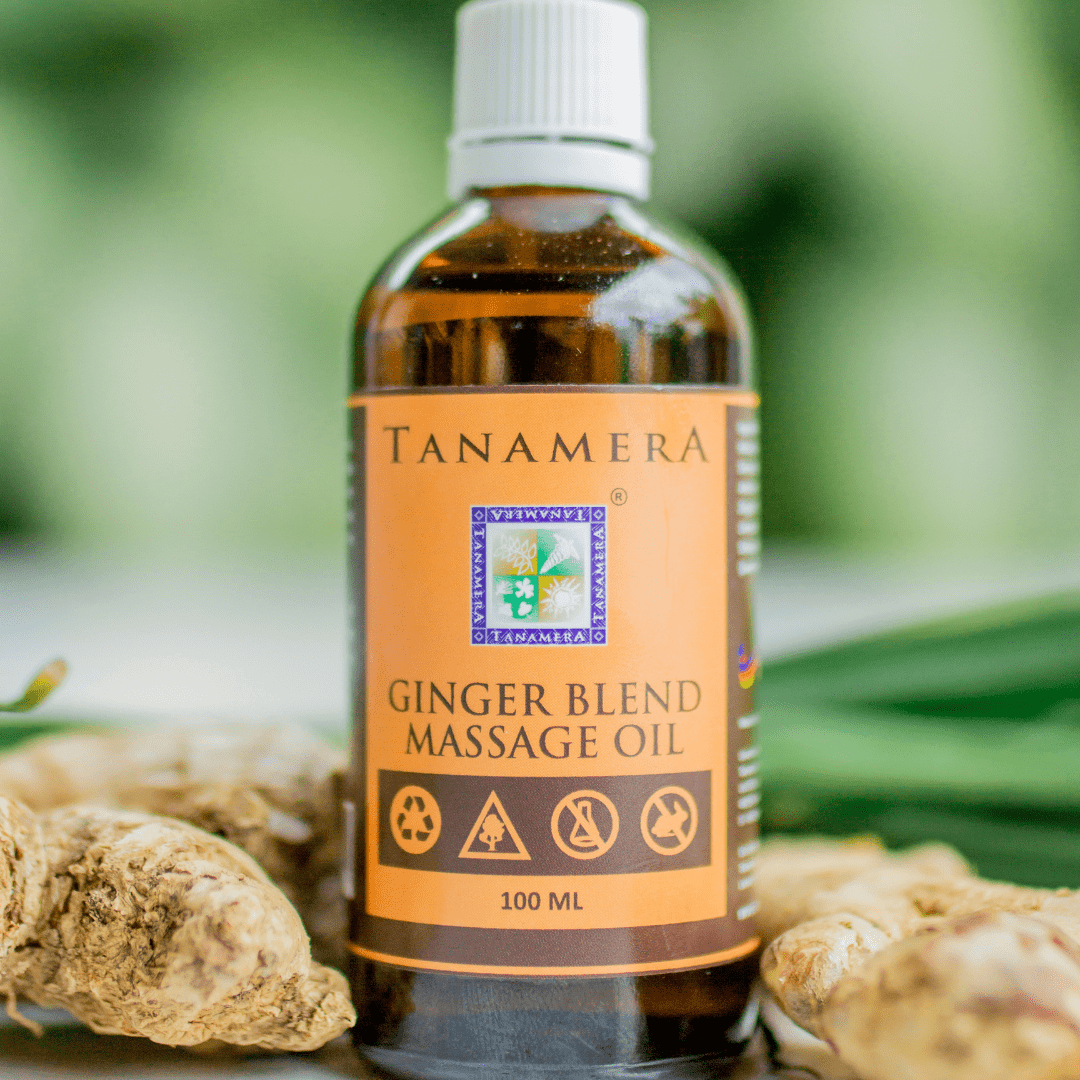 tanamera natural ginger blend massage oil with ginger