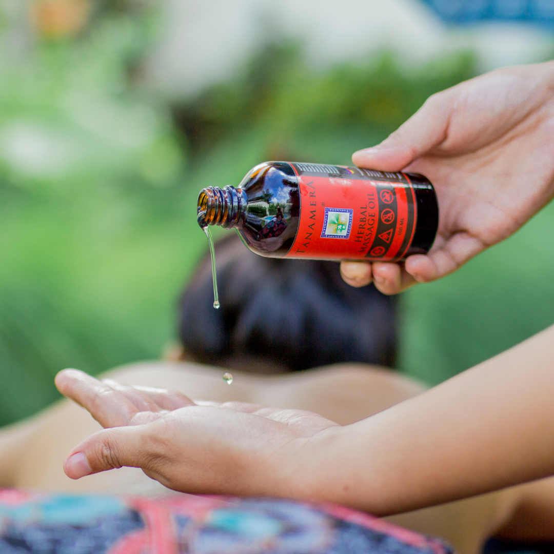 tanamera natural herbal massage oil application