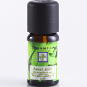 Sweet Basil Essential Oil