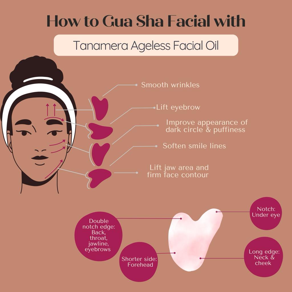 Ageless Facial Oil